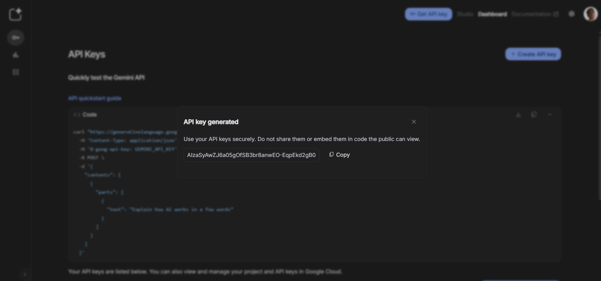 Generated API Key with Copy Button